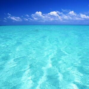 Meet your Posher, BeachGirl